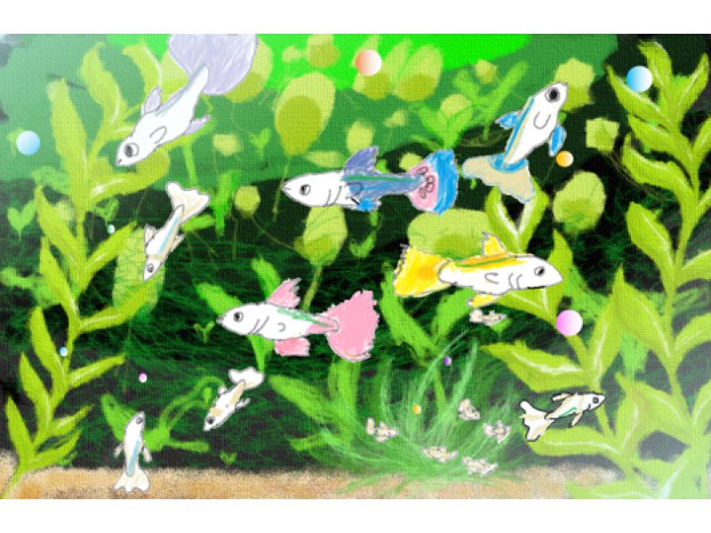 尾鷲教室（三重県）小3　上岡 愛美衣